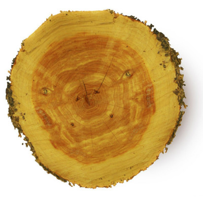 ByOrgMeans 大西洋雪松精油(有機) GEO1036