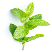 ByOrgMeans 薄荷精油 (有機) GEO1129 ByOrgMeans 薄荷精油 (有機) GEO1129