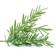 ByOrgMeans 迷迭香精油 (有機) GEO1138 ByOrgMeans 迷迭香精油 (有機) GEO1138