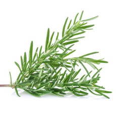 ByOrgMeans 迷迭香精油 (有機) GEO1138