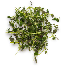 ByOrgMeans 百里香精油(有機) GEO1157